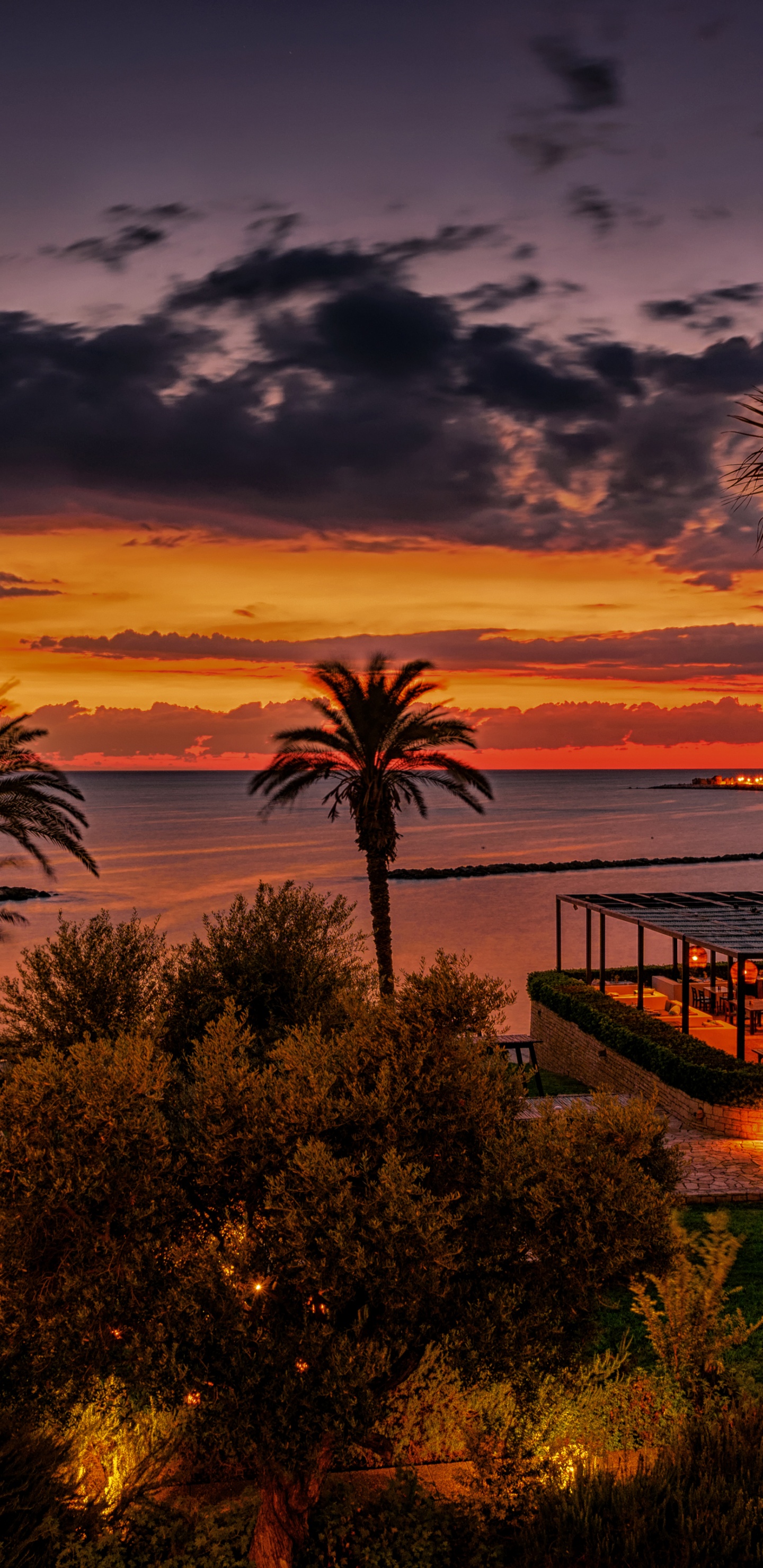 Обои природа, закат, Пальма, вечер, восход солнца в разрешении 1440x2960