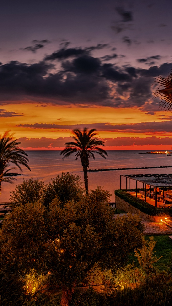 Обои природа, закат, Пальма, вечер, восход солнца в разрешении 720x1280