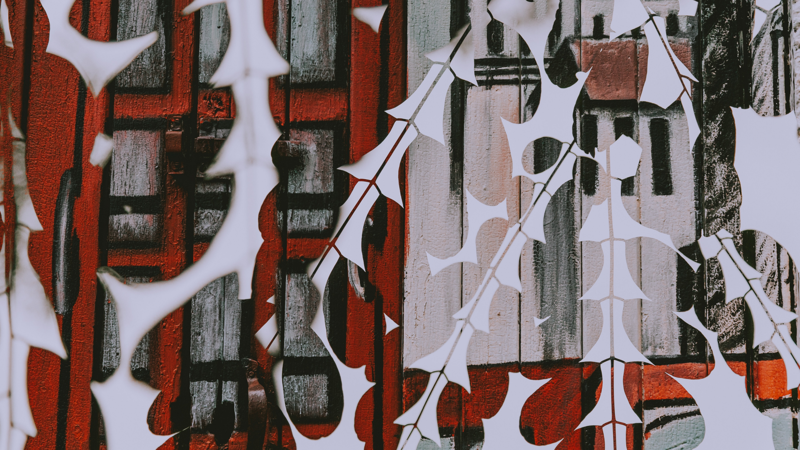 Обои дерево, дизайн, узор, арт, граффити в разрешении 2560x1440