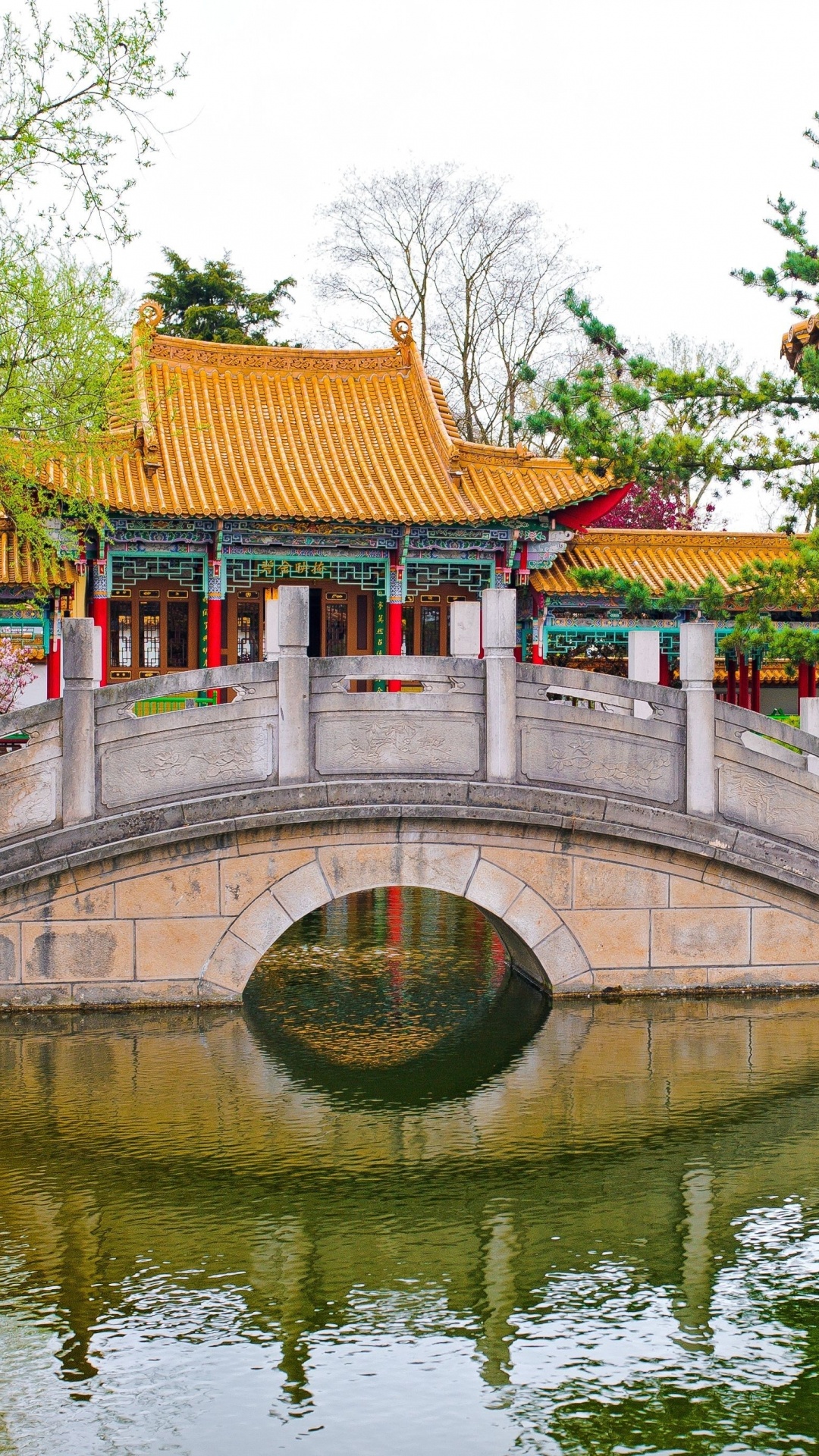 Обои китайский сад, сад, китайская архитектура, вода, пагода в разрешении 1080x1920