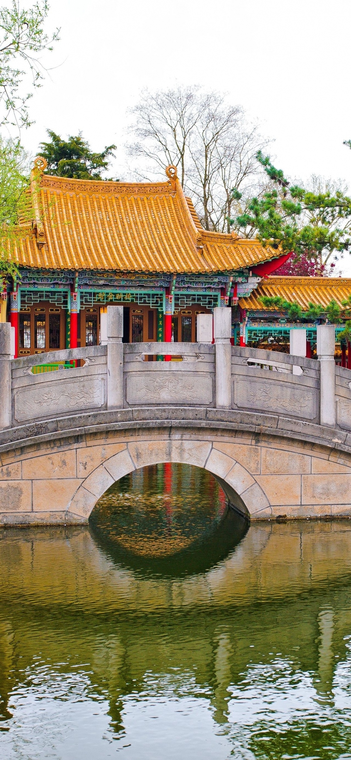 Обои китайский сад, сад, китайская архитектура, вода, пагода в разрешении 1125x2436