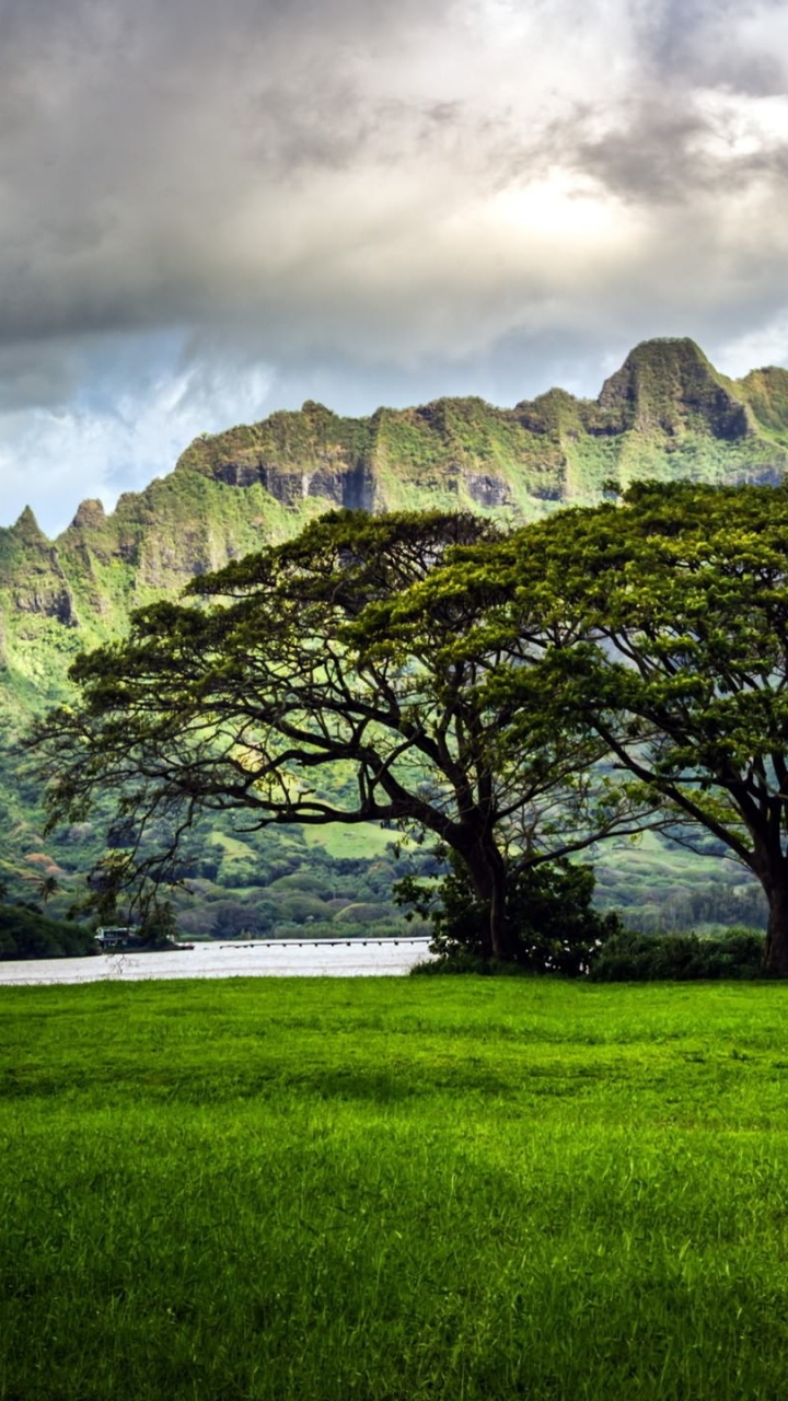 Обои Оаху природы, природа, природный ландшафт, горный рельеф, нагорье в разрешении 720x1280