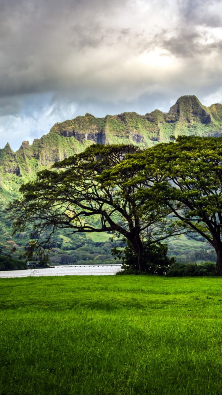 Обои Оаху природы, природа, природный ландшафт, горный рельеф, нагорье в разрешении 750x1334