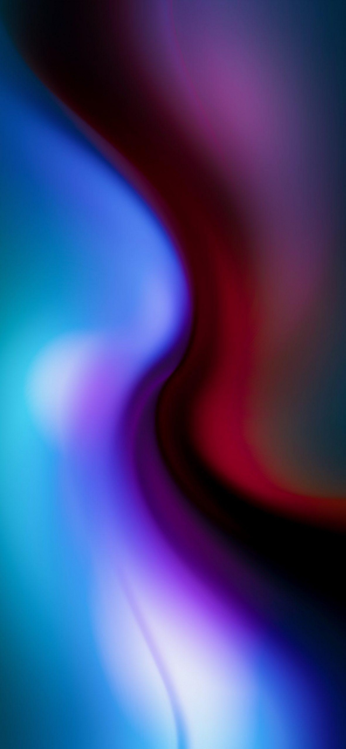 Обои крупный план, красочность, пурпур, Фиолетовый, пурпурный цвет в разрешении 1125x2436