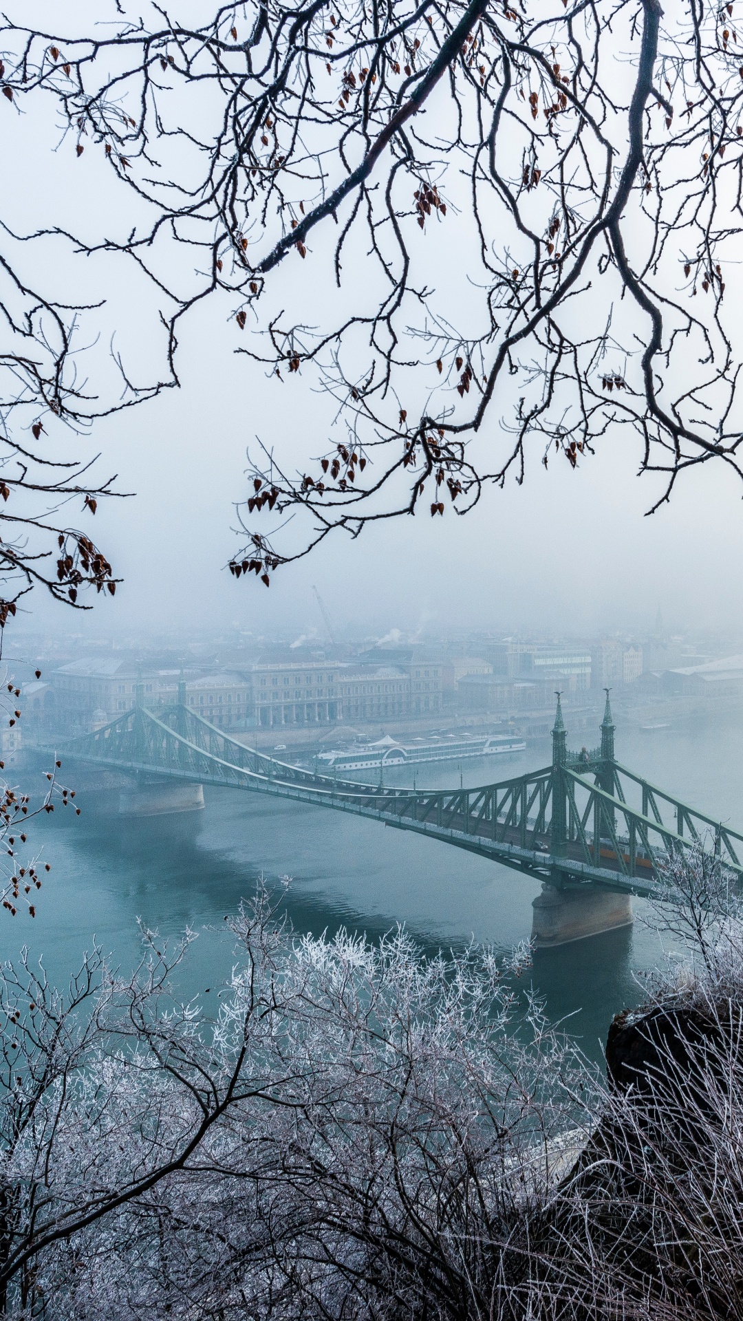 Обои снег, зима, Мост Свободы, вода, дерево в разрешении 1080x1920