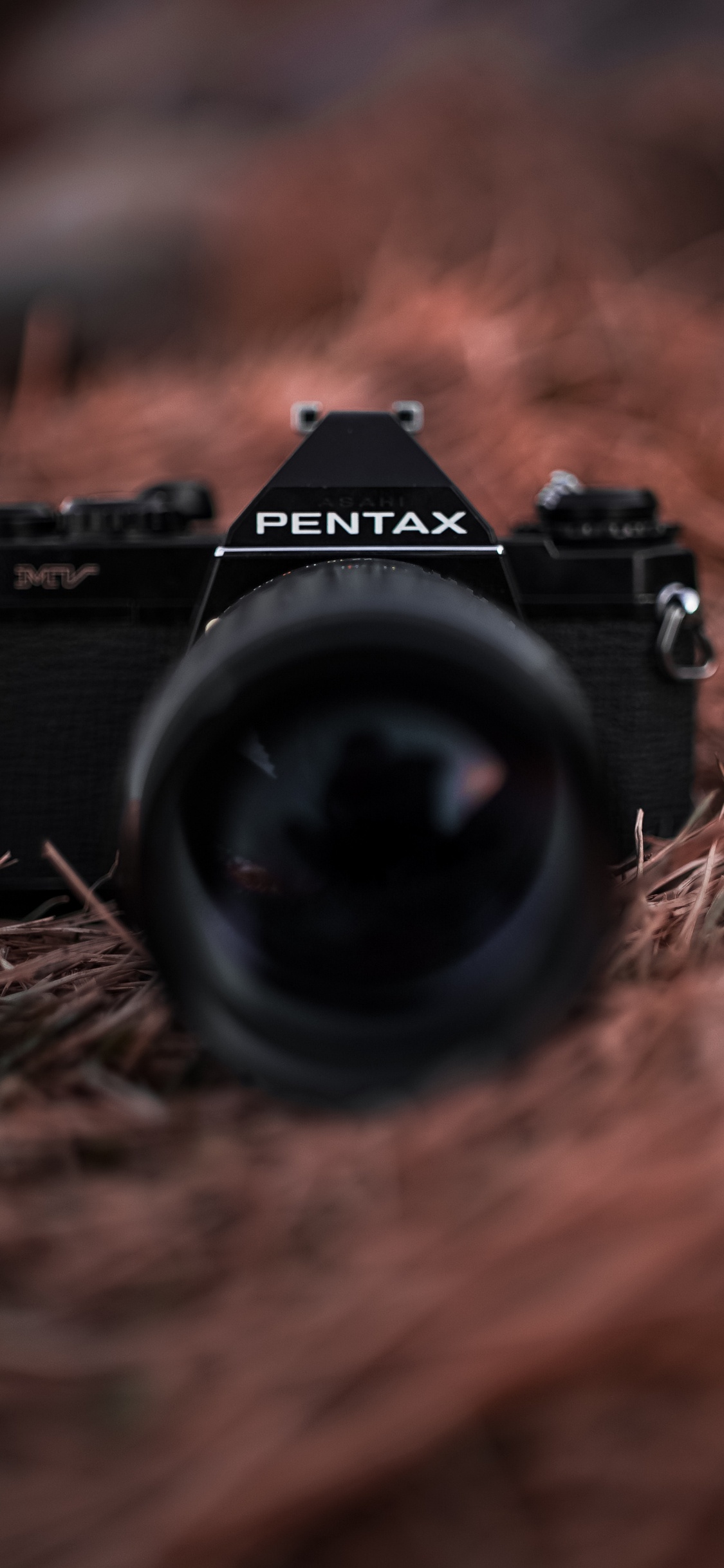 Обои камера, объектив камеры, цифровые зеркальные, оптика камеры, объектив в разрешении 1125x2436