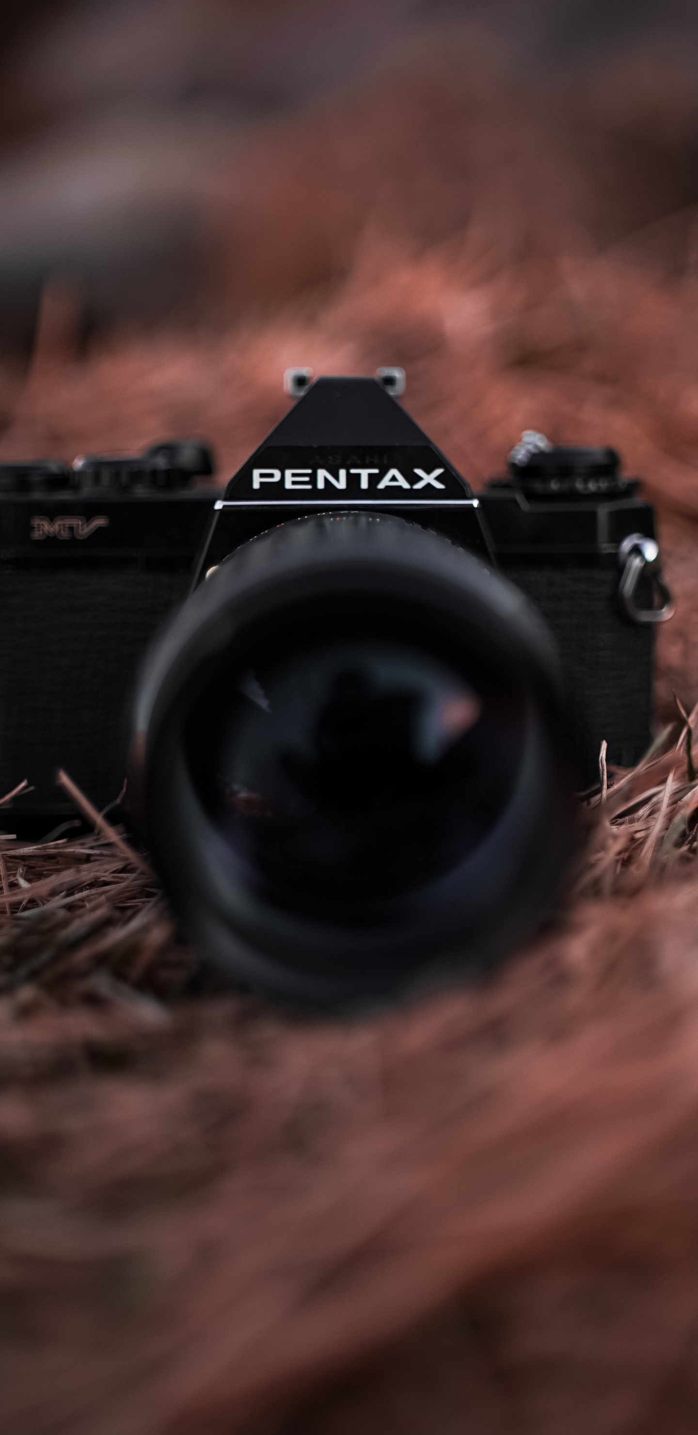 Обои камера, объектив камеры, цифровые зеркальные, оптика камеры, объектив в разрешении 1440x2960