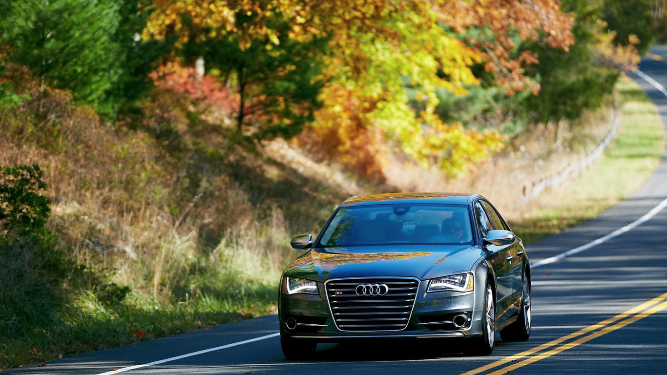 Обои Ауди С8 2014, авто, audi, природа, транспорт в разрешении 1366x768