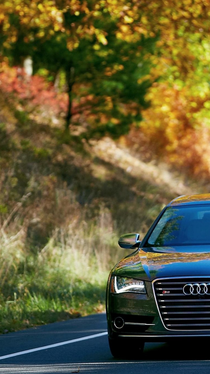 Обои Ауди С8 2014, авто, audi, природа, транспорт в разрешении 720x1280