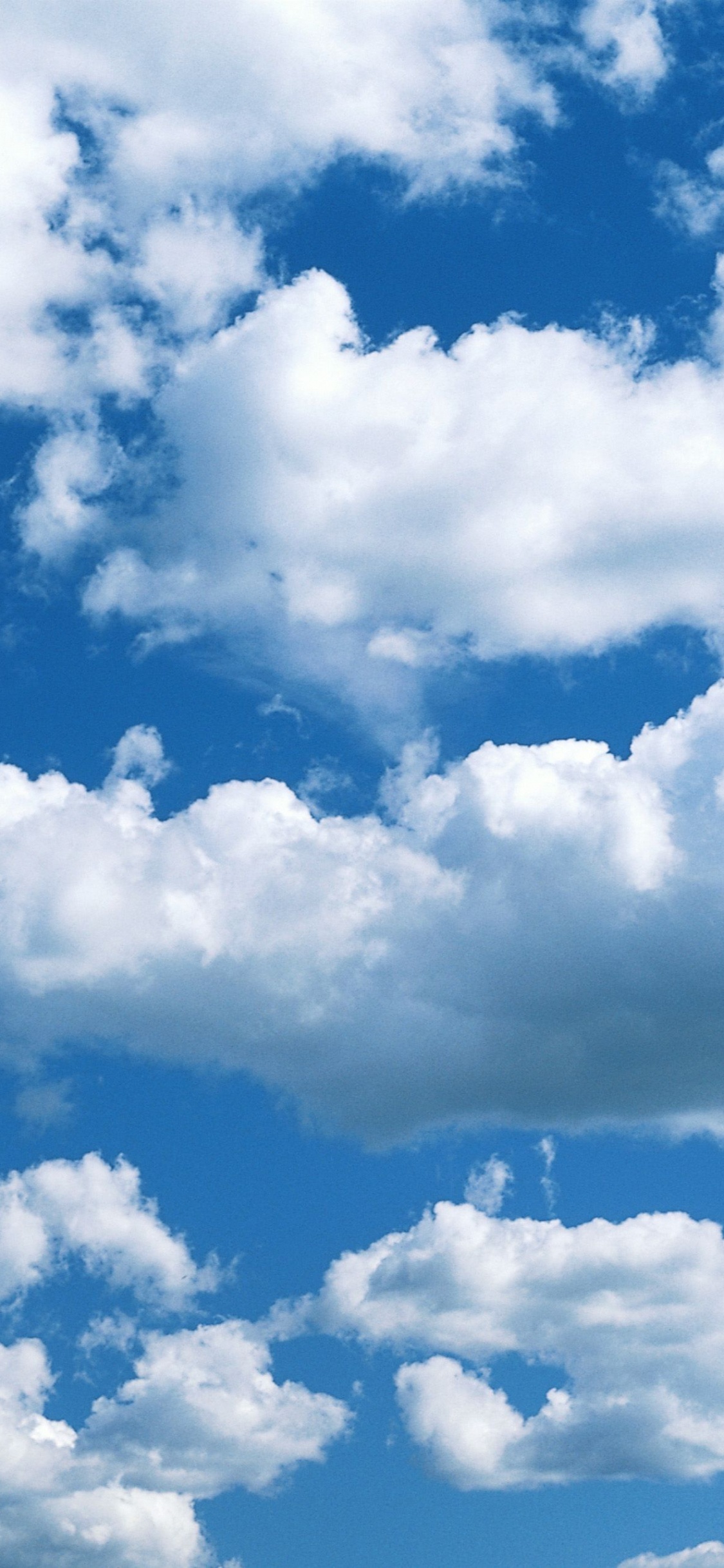 Обои облако, дневное время, кучевое облако, синий, атмосфера в разрешении 1125x2436