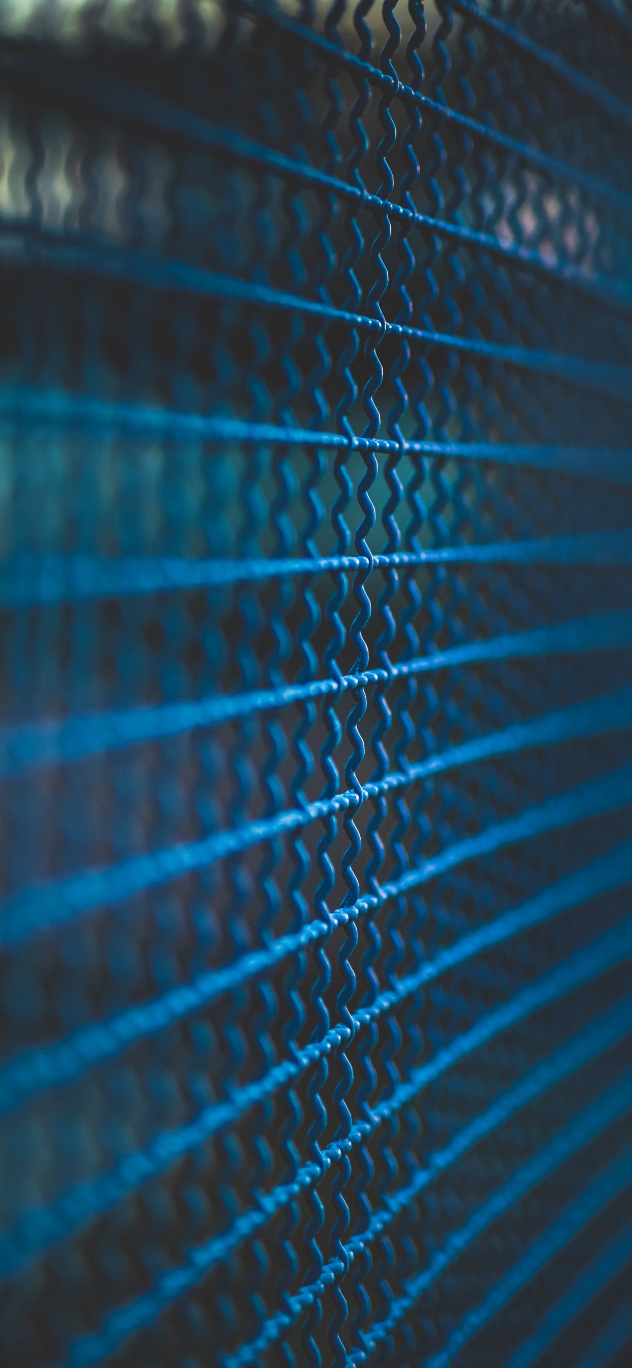 Обои синий, синий кобальт, зеленый, бирюза, электрик в разрешении 1242x2688