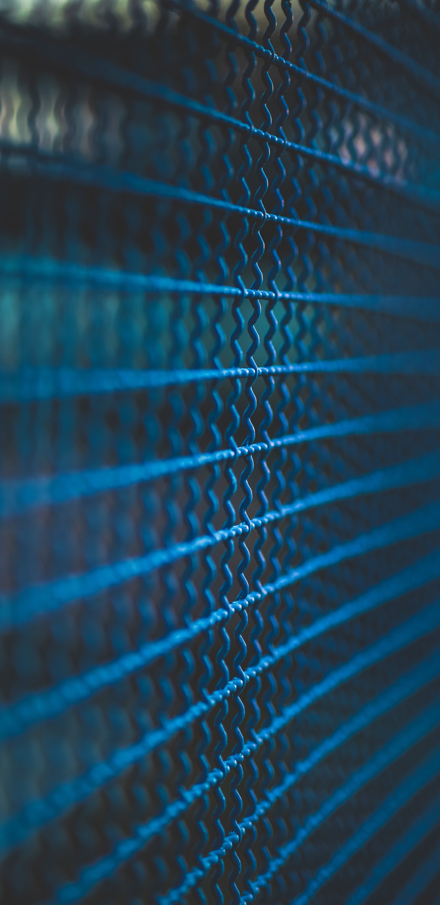 Обои синий, синий кобальт, зеленый, бирюза, электрик в разрешении 1440x2960