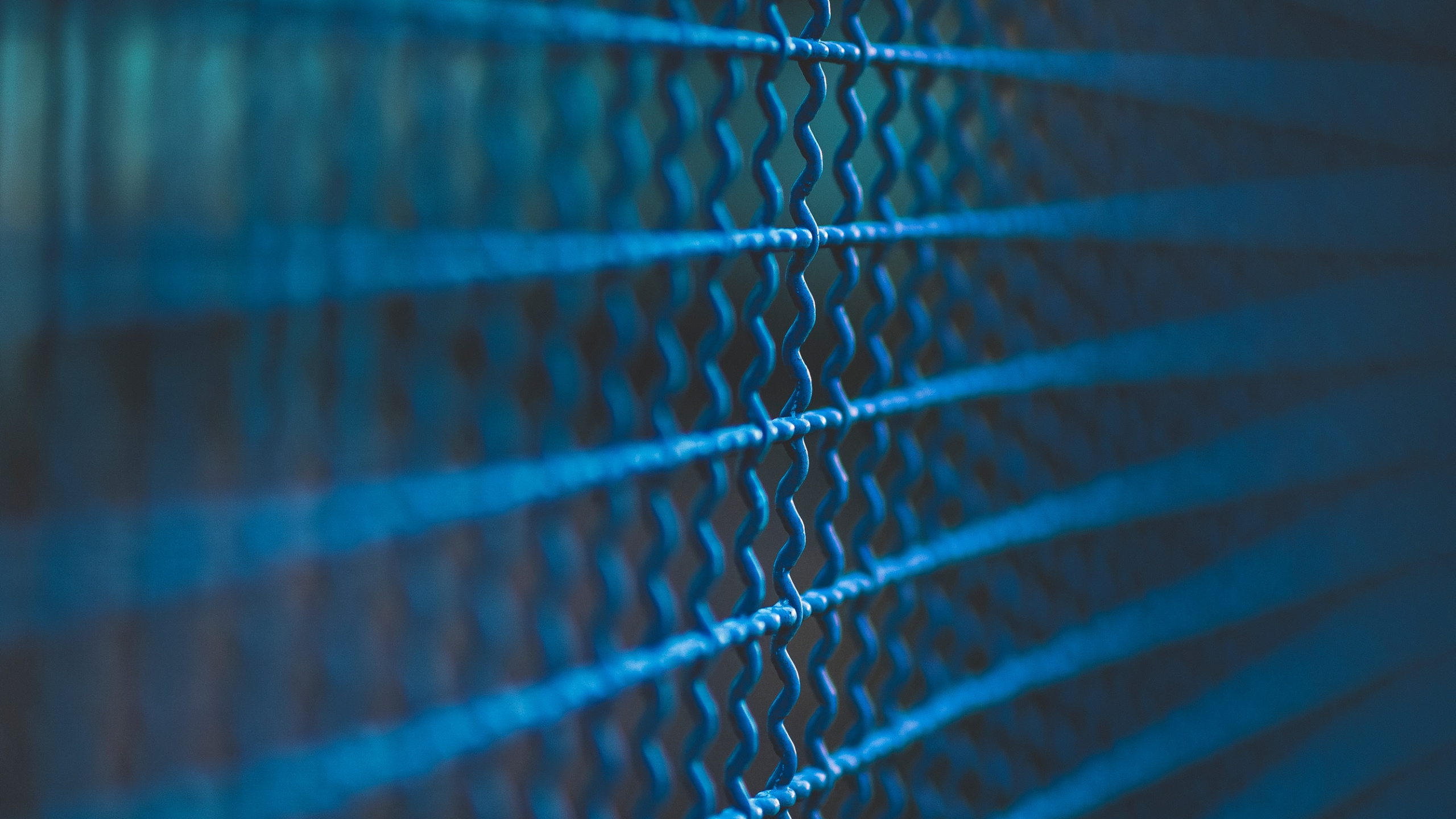 Обои синий, синий кобальт, зеленый, бирюза, электрик в разрешении 2560x1440