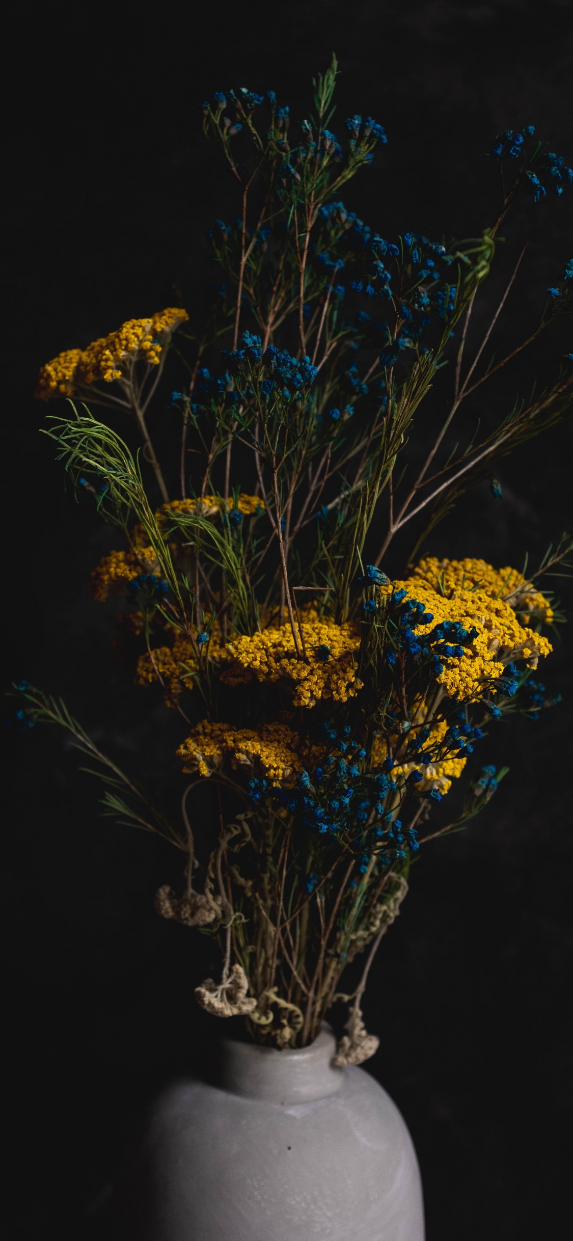 Обои цветок, цветочный горшок, дерево, ветвь, натюрморт в разрешении 1125x2436