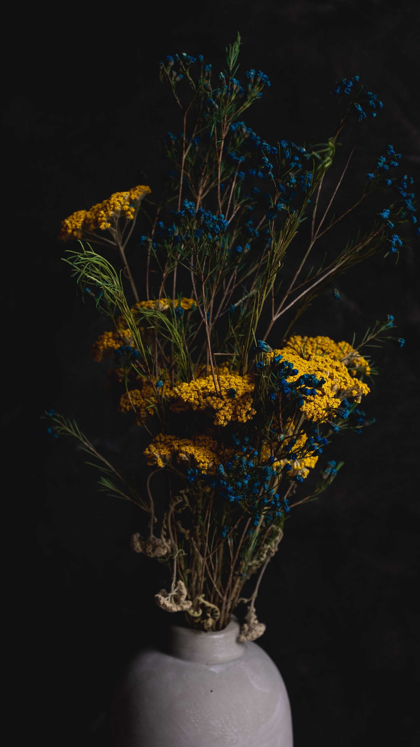 Обои цветок, цветочный горшок, дерево, ветвь, натюрморт в разрешении 1440x2560