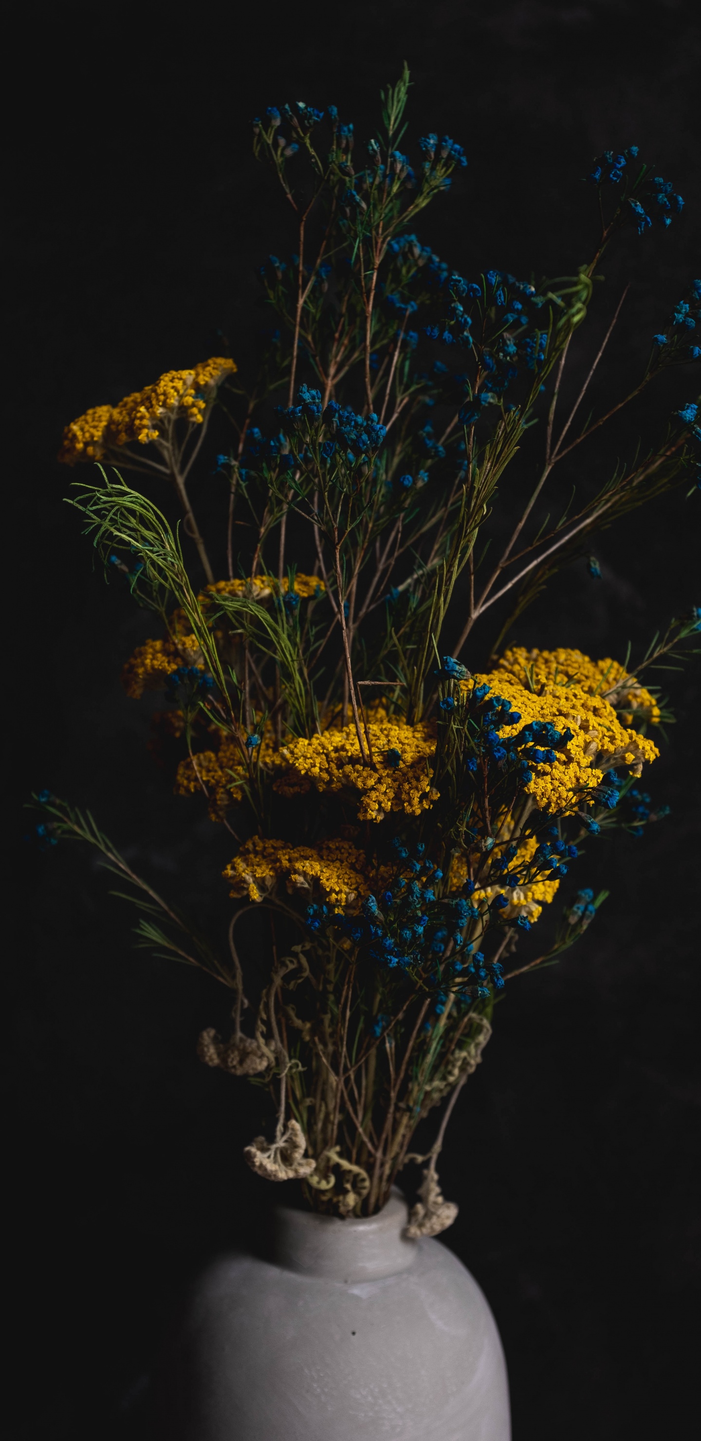 Обои цветок, цветочный горшок, дерево, ветвь, натюрморт в разрешении 1440x2960