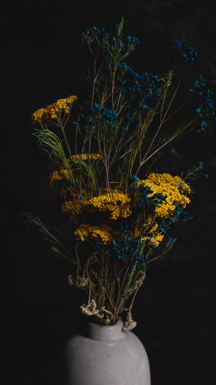 Обои цветок, цветочный горшок, дерево, ветвь, натюрморт в разрешении 750x1334