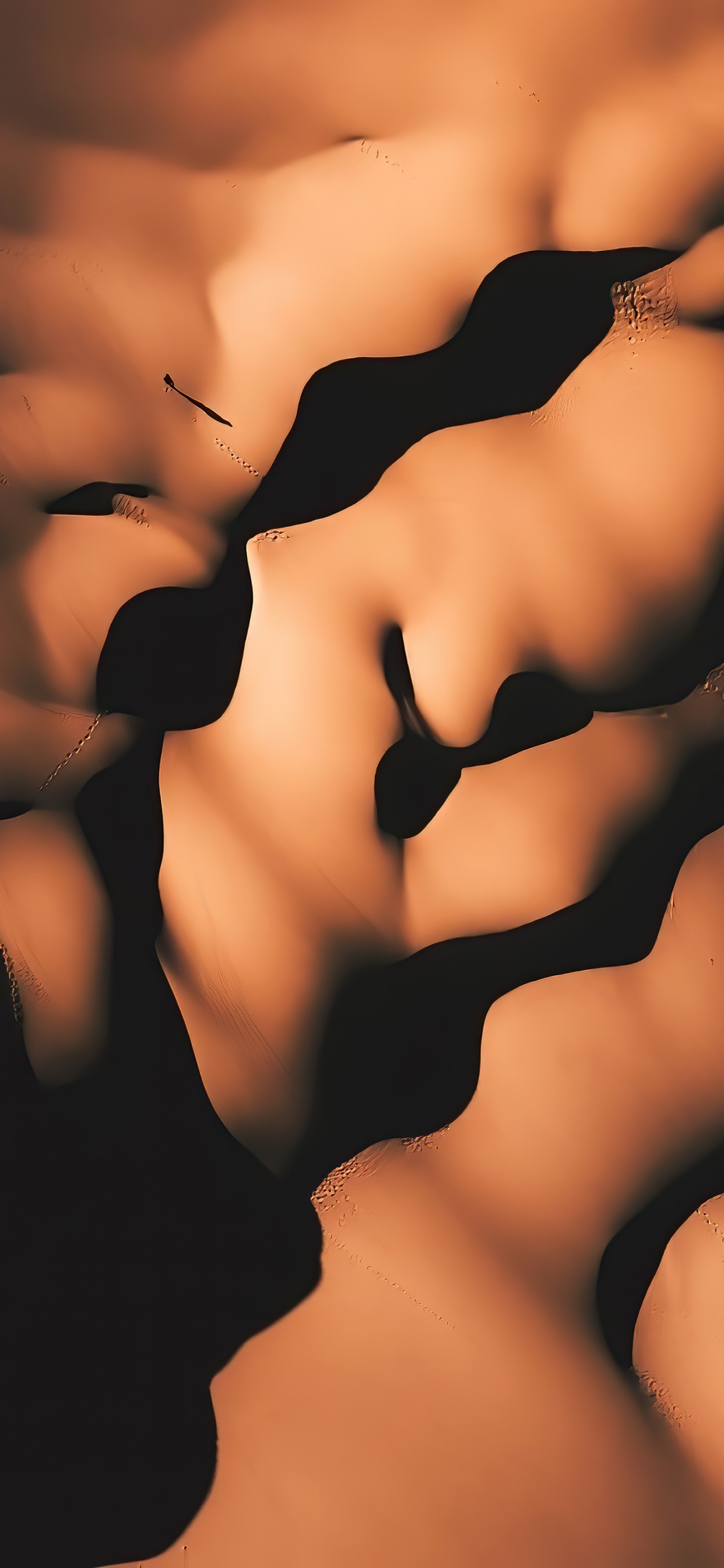 Обои крупный план, биология человека, человеческий скелет, биология, шея в разрешении 1242x2688