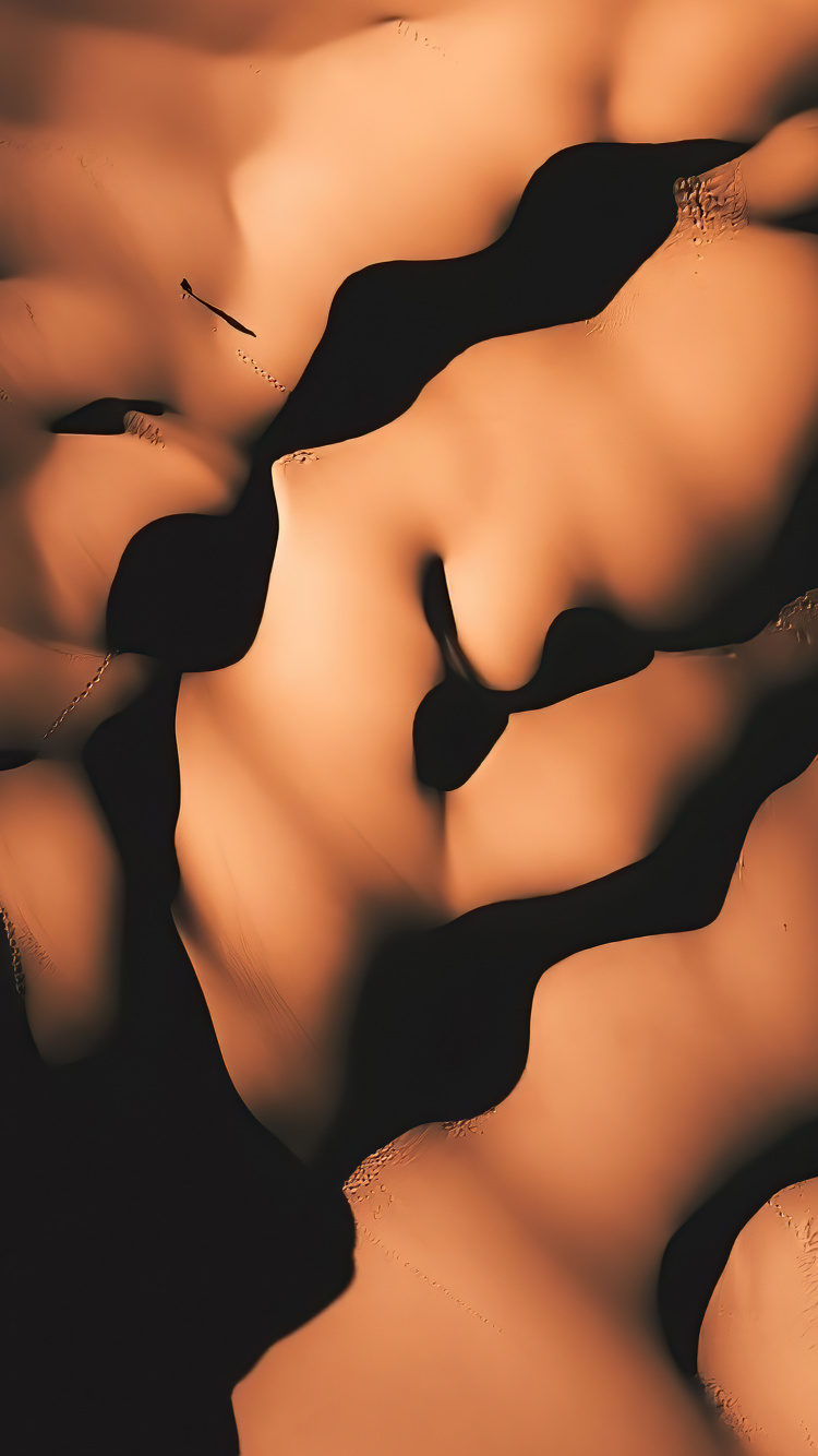 Обои крупный план, биология человека, человеческий скелет, биология, шея в разрешении 750x1334