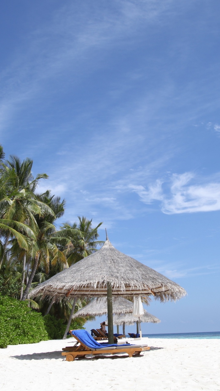 Обои пляж, море, берег, отпуск, тропическая зона в разрешении 720x1280