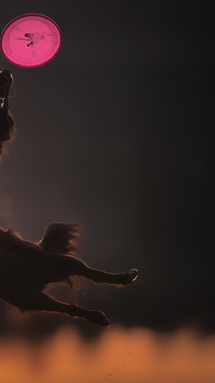 Обои атмосфера земли, земля, темнота, ночь, атмосфера в разрешении 750x1334