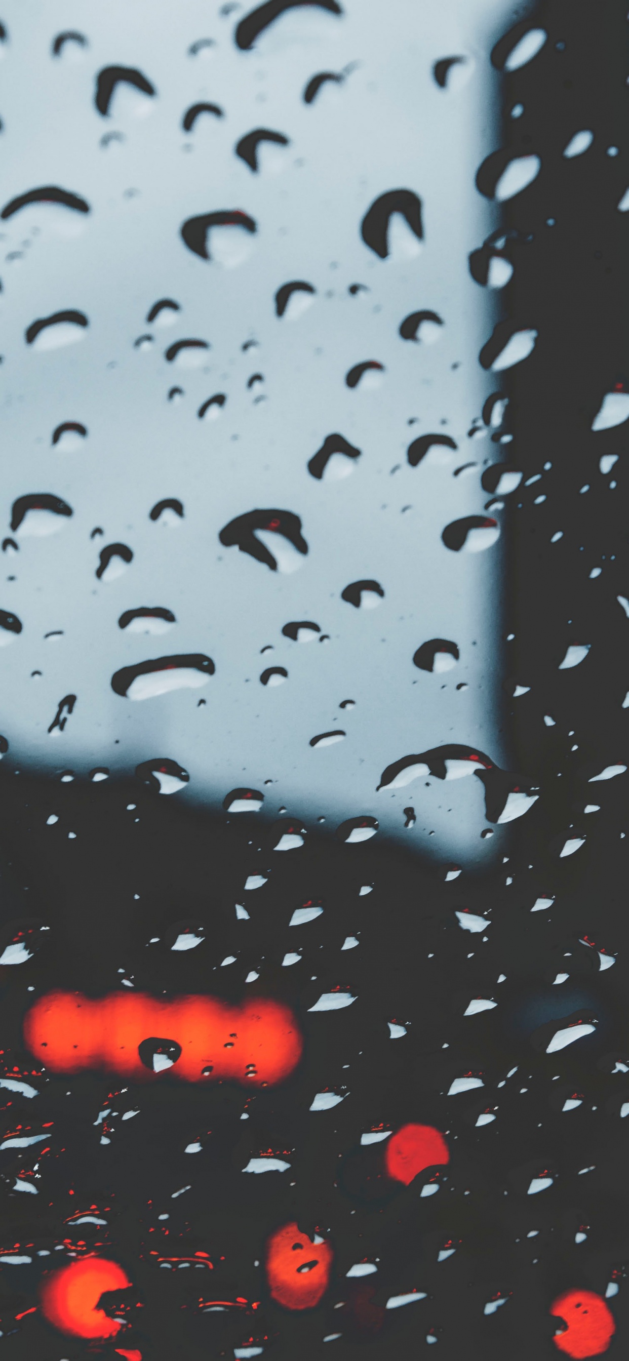 Обои дождь, вода, падение, мелкий дождь, осаждение в разрешении 1242x2688