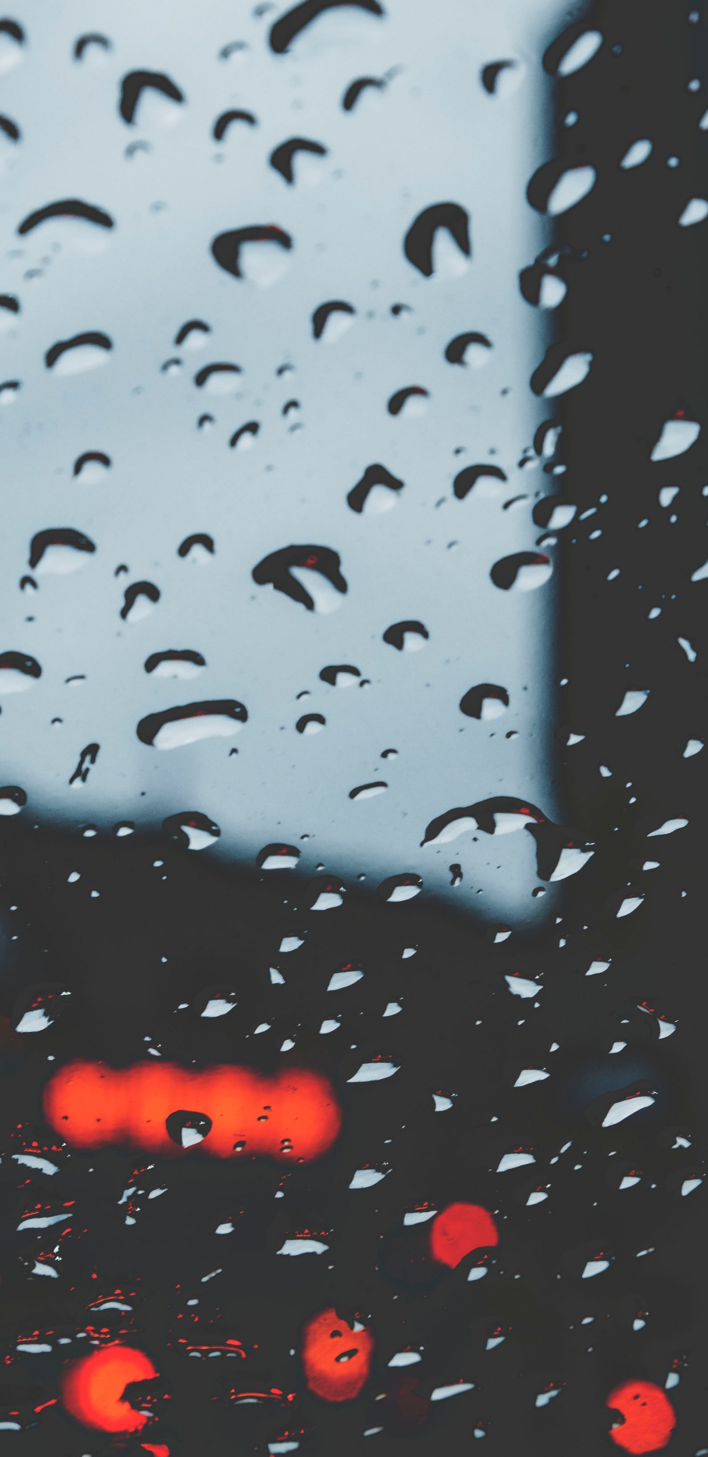 Обои дождь, вода, падение, мелкий дождь, осаждение в разрешении 1440x2960