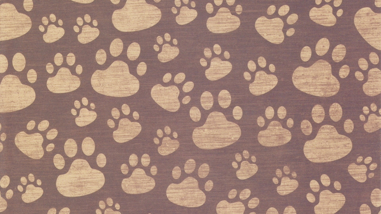 Обои кот, узор, коричневый цвет, дизайн, ткань в разрешении 1280x720