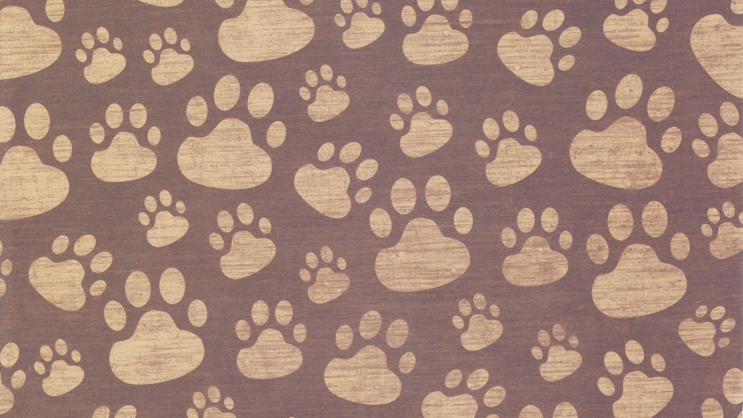 Обои кот, узор, коричневый цвет, дизайн, ткань в разрешении 2560x1440