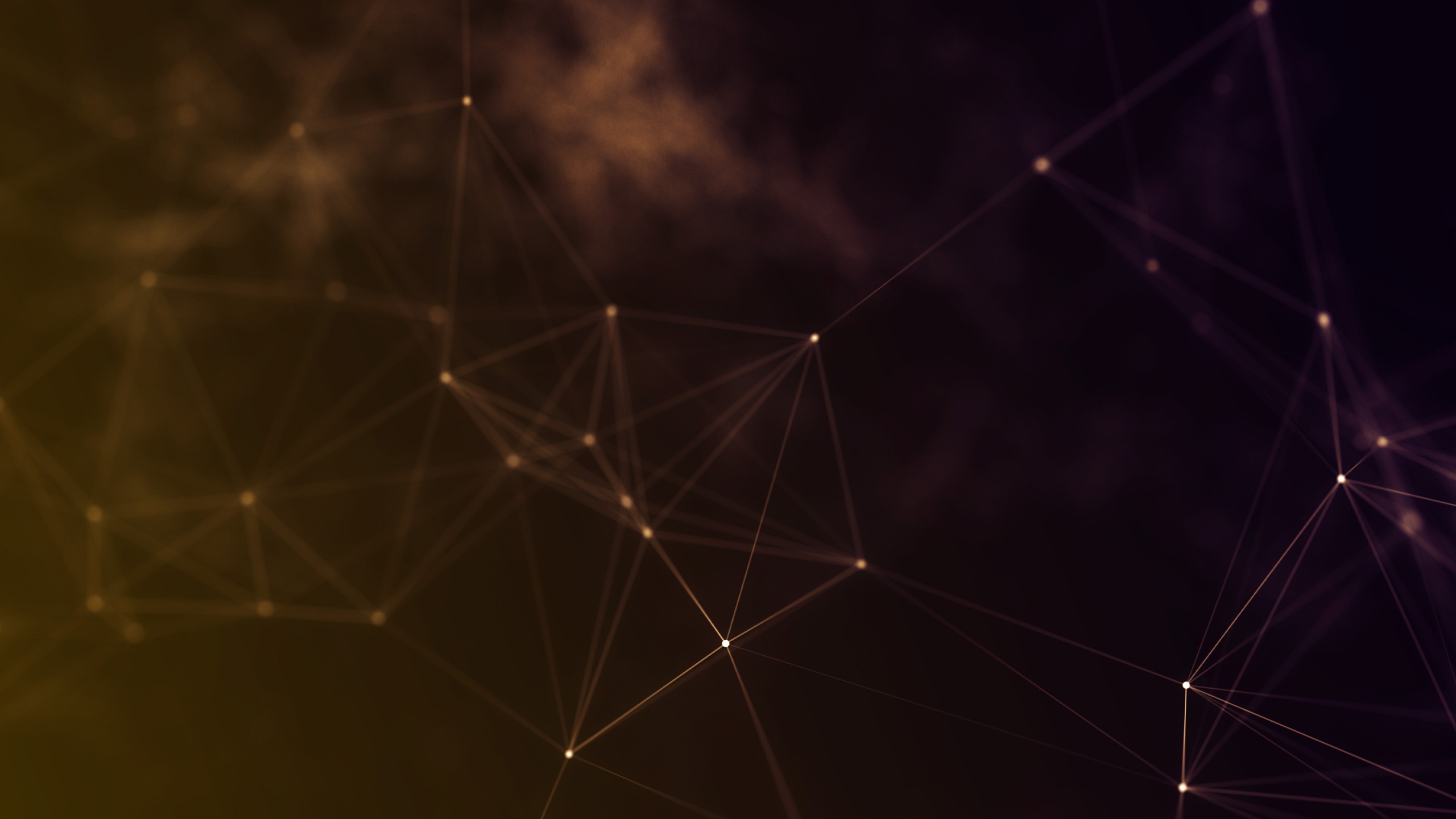 Обои свет, черный, линия, узор, дизайн в разрешении 2560x1440