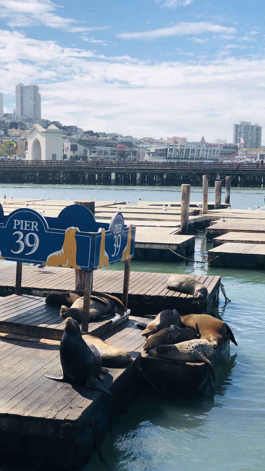 Обои Пирс, Сан Франциско, пирс 39, лодка, туризм в разрешении 1080x1920