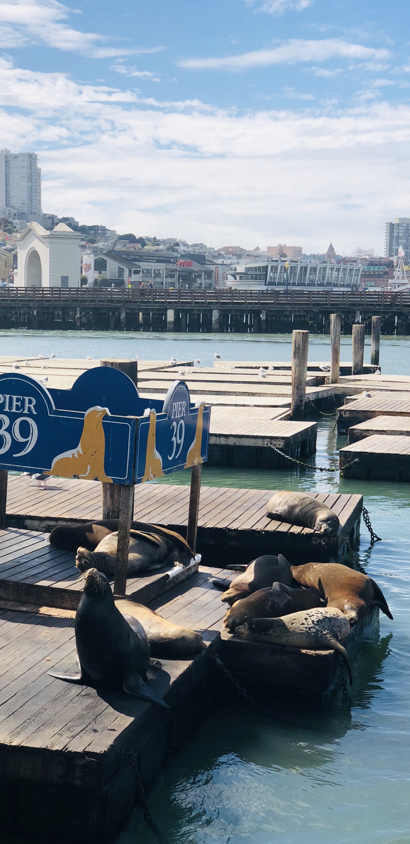 Обои Пирс, Сан Франциско, пирс 39, лодка, туризм в разрешении 1440x2960