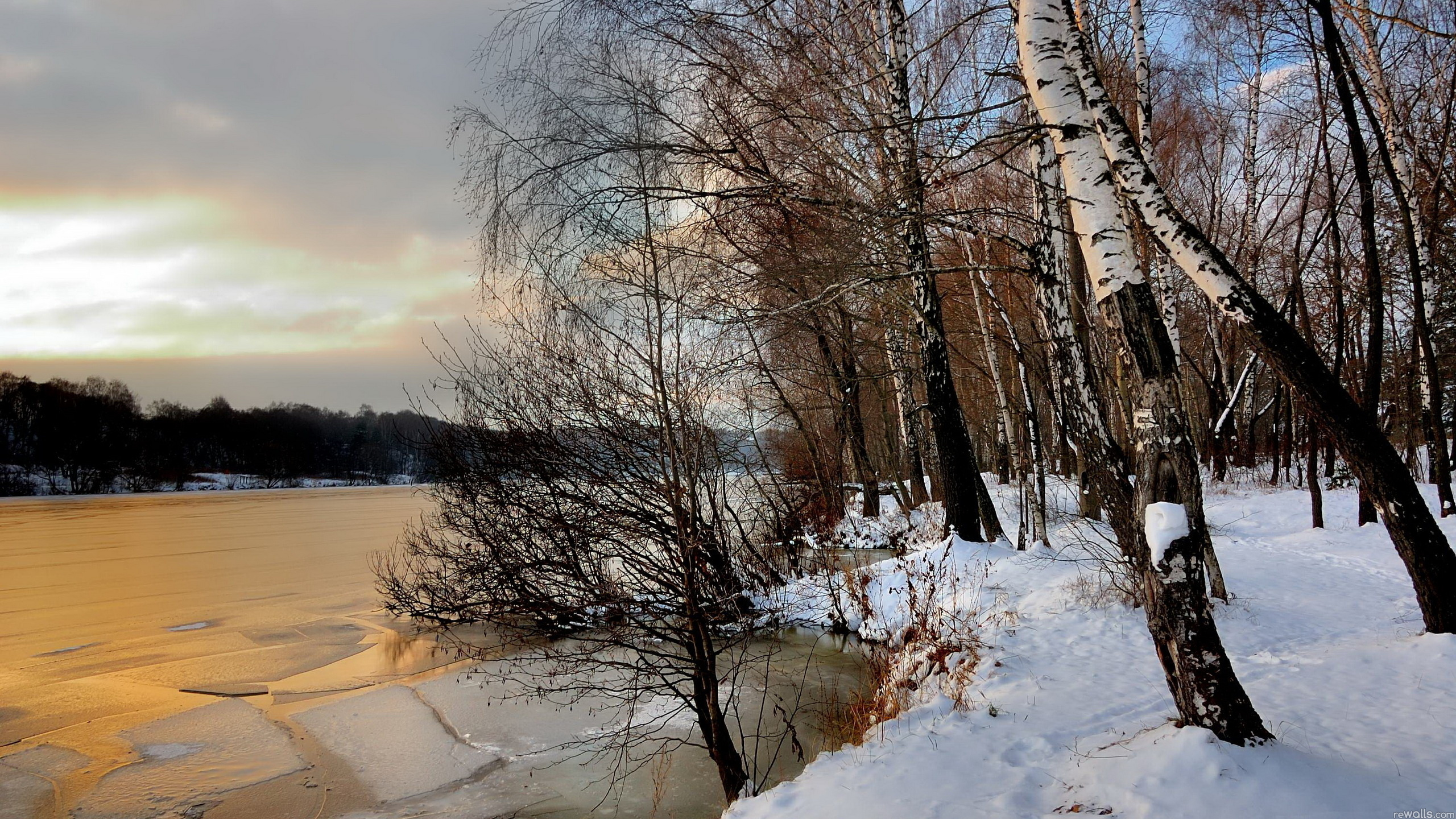 Обои пейзажная живопись, пейзаж, снег, зима, дерево в разрешении 2560x1440