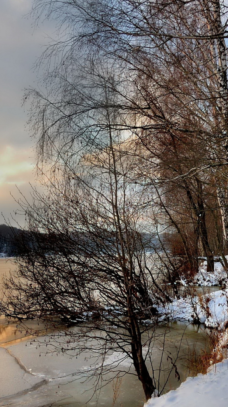 Обои пейзажная живопись, пейзаж, снег, зима, дерево в разрешении 750x1334