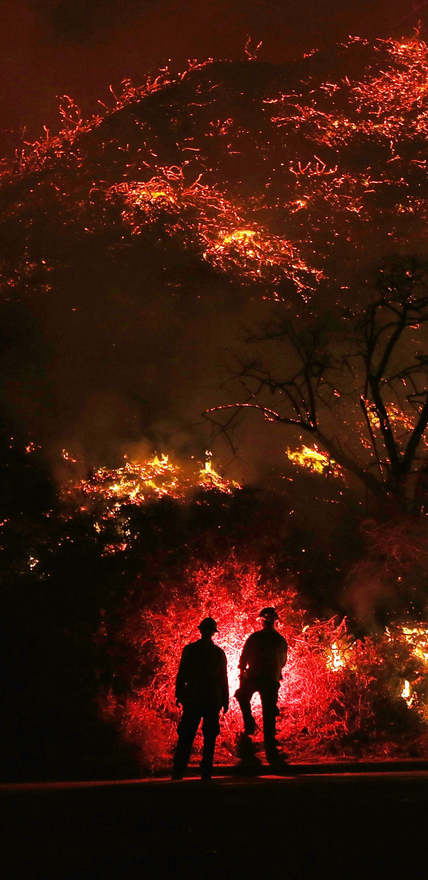 Обои пламя, Томас Огня, Южной Калифорнии пожары, тепло, Лос-Анджелес в разрешении 1440x2960