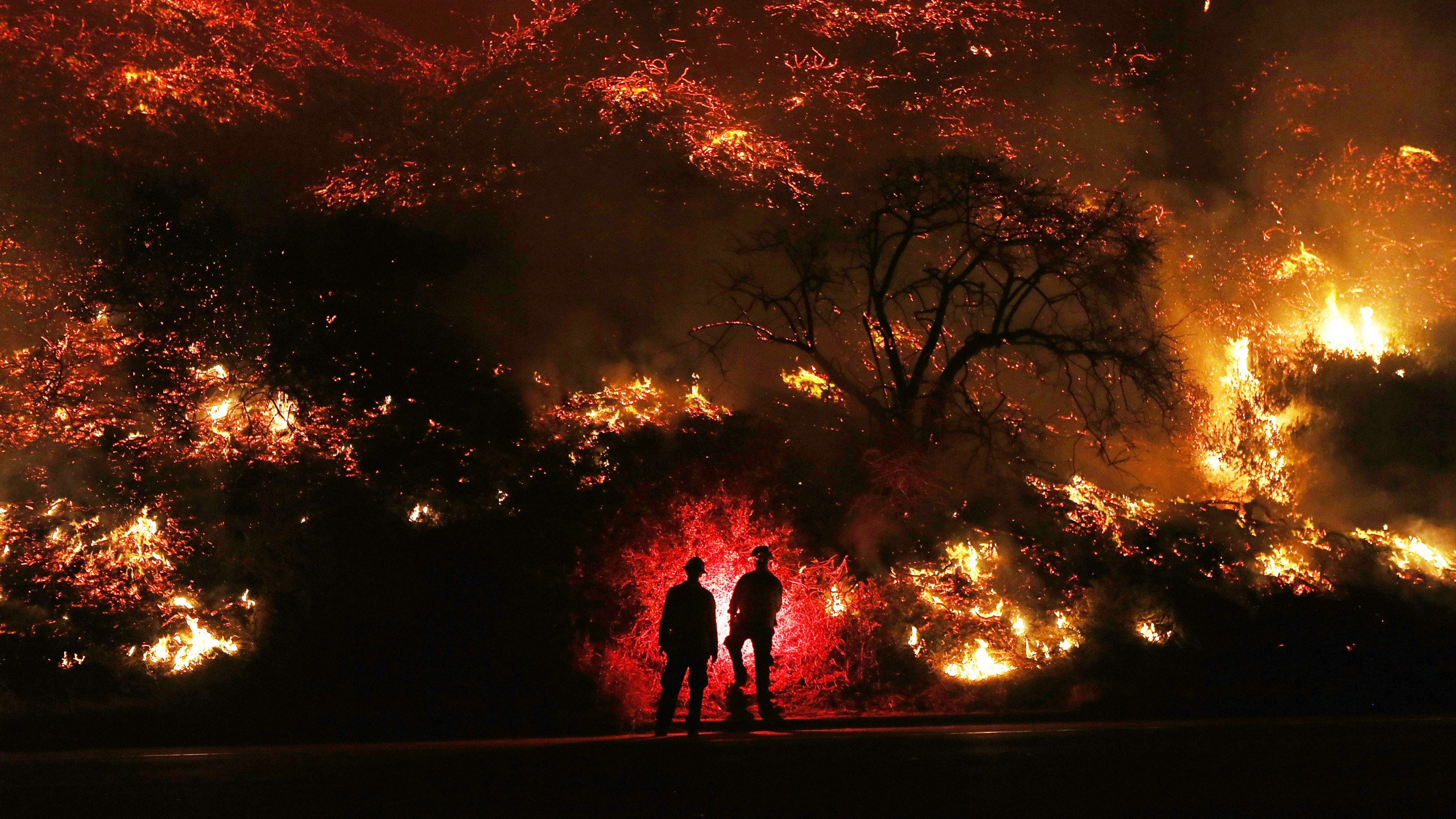 Обои пламя, Томас Огня, Южной Калифорнии пожары, тепло, Лос-Анджелес в разрешении 2560x1440