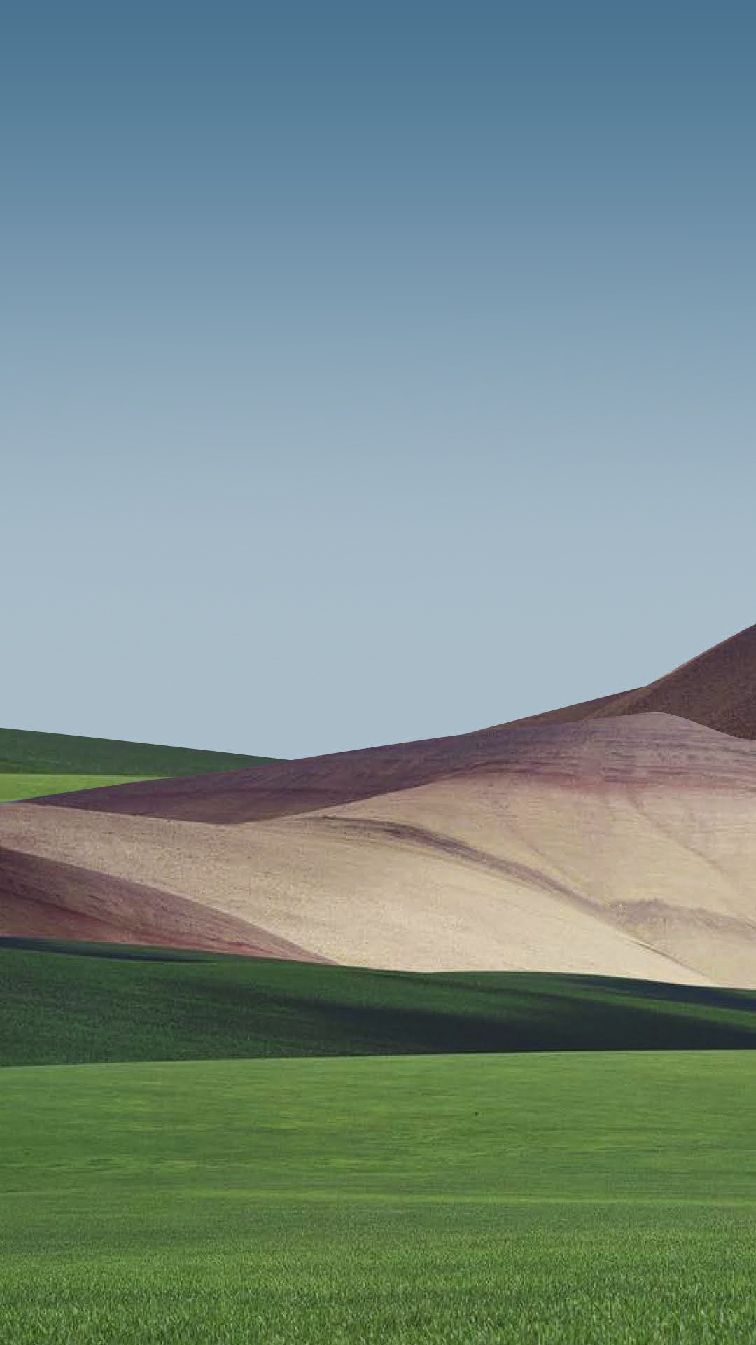 Обои сенокосное угодье, растение, природный ландшафт, склон, нагорье в разрешении 1080x1920