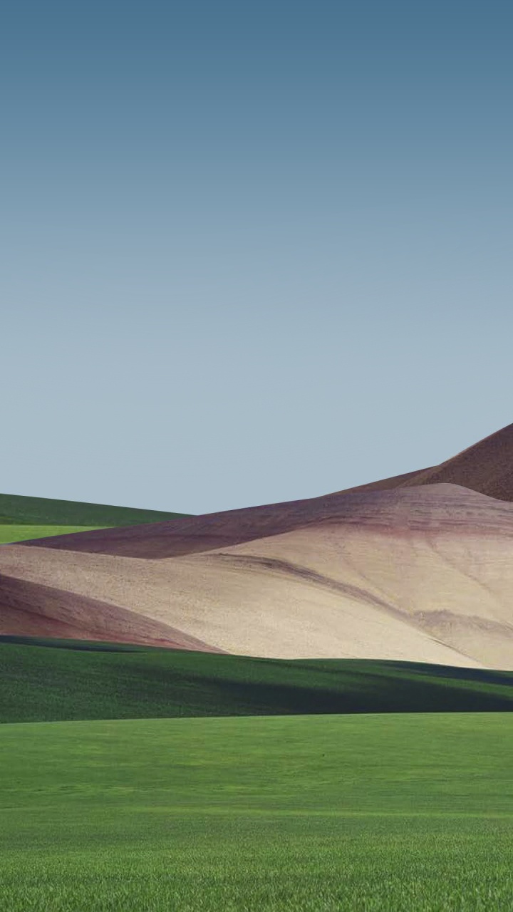 Обои сенокосное угодье, растение, природный ландшафт, склон, нагорье в разрешении 720x1280