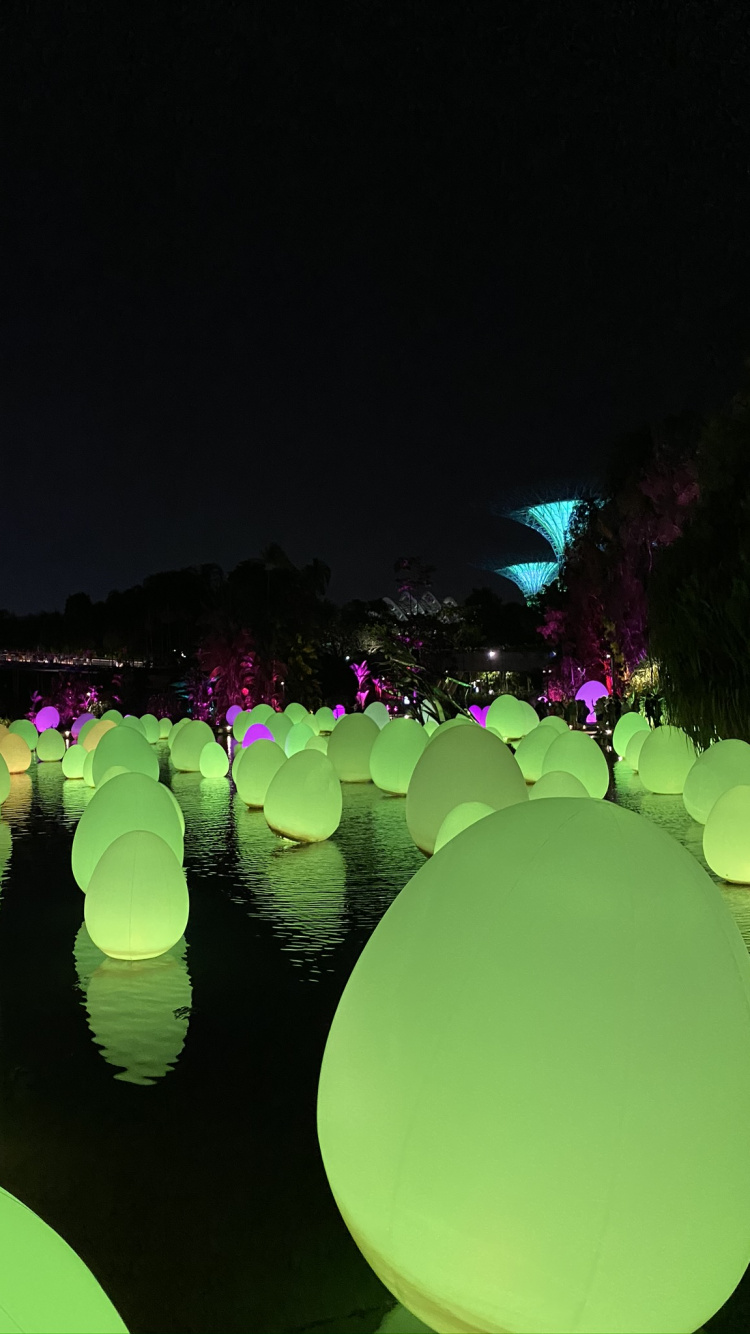 Обои Сингапур, отражение, вода, наука, биология в разрешении 750x1334