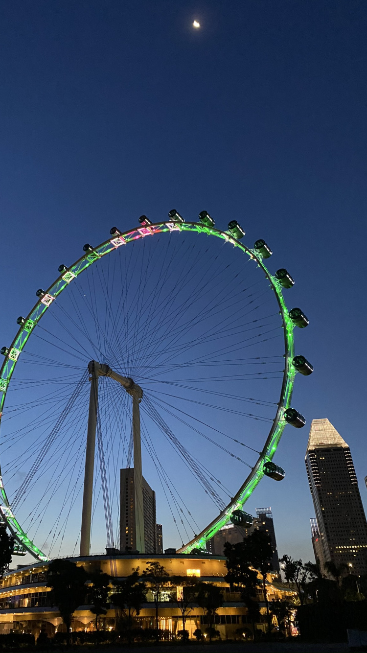 Обои достопримечательности Сингапура, колесо обозрения, природа, дневное время, метрополия в разрешении 750x1334