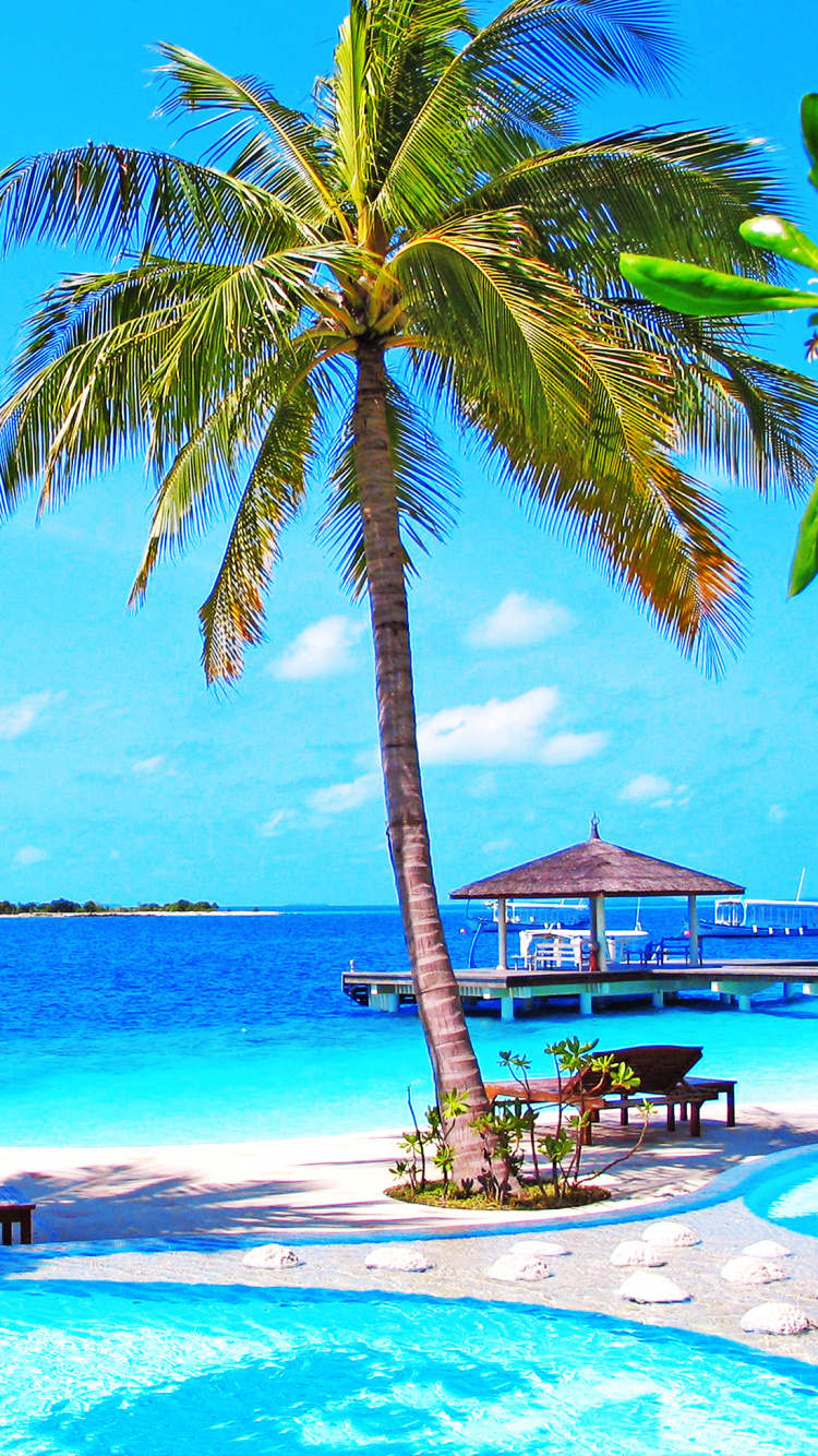 Обои пляж, туризм, досуг, прибежище, путешествие в разрешении 750x1334