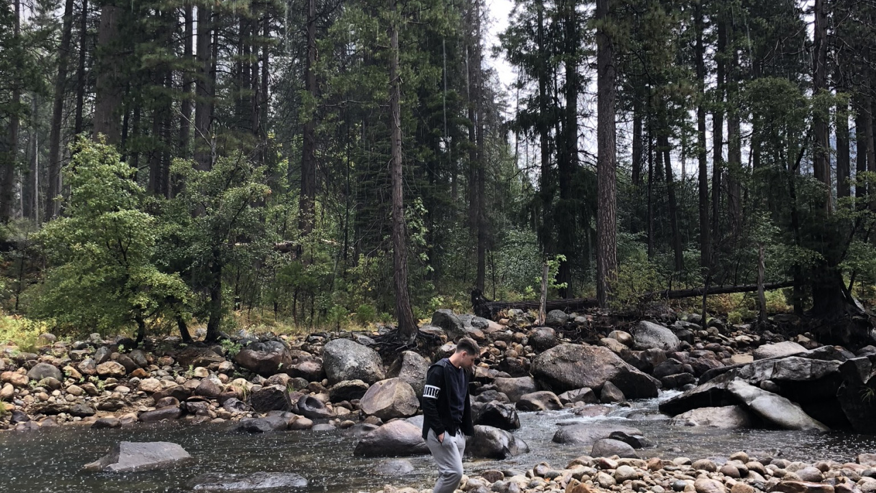 Обои дикая местность, рок, дерево, русло ручья, коренная порода в разрешении 1280x720