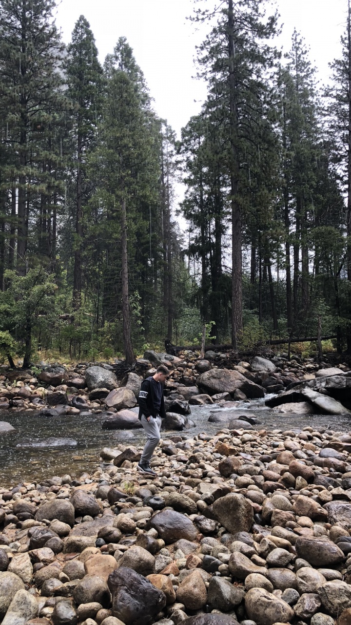 Обои дикая местность, рок, дерево, русло ручья, коренная порода в разрешении 720x1280
