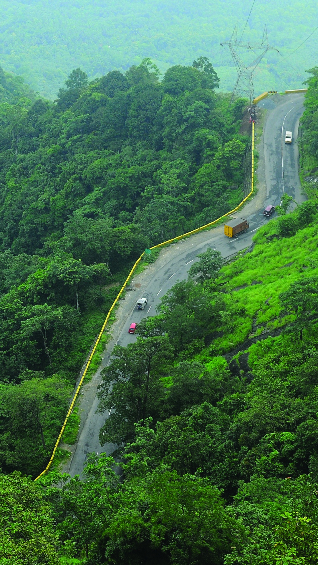 Обои керальской природы, путешествие, растительность, горная станция, природа в разрешении 1080x1920