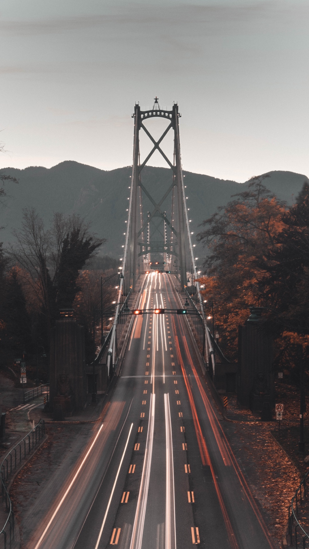 Обои мост Львиные ворота, мост, подвесной мост, ориентир, дорога в разрешении 1080x1920