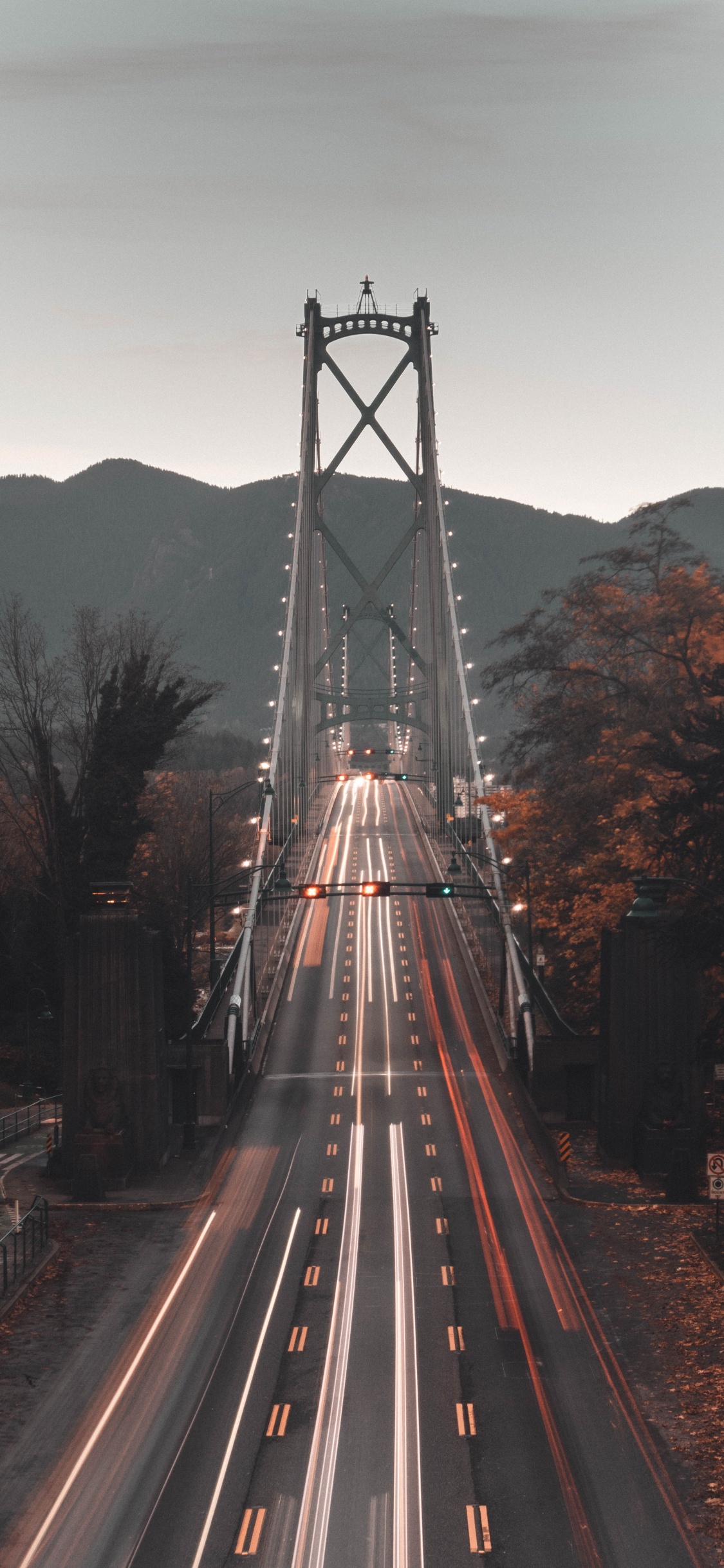 Обои мост Львиные ворота, мост, подвесной мост, ориентир, дорога в разрешении 1125x2436