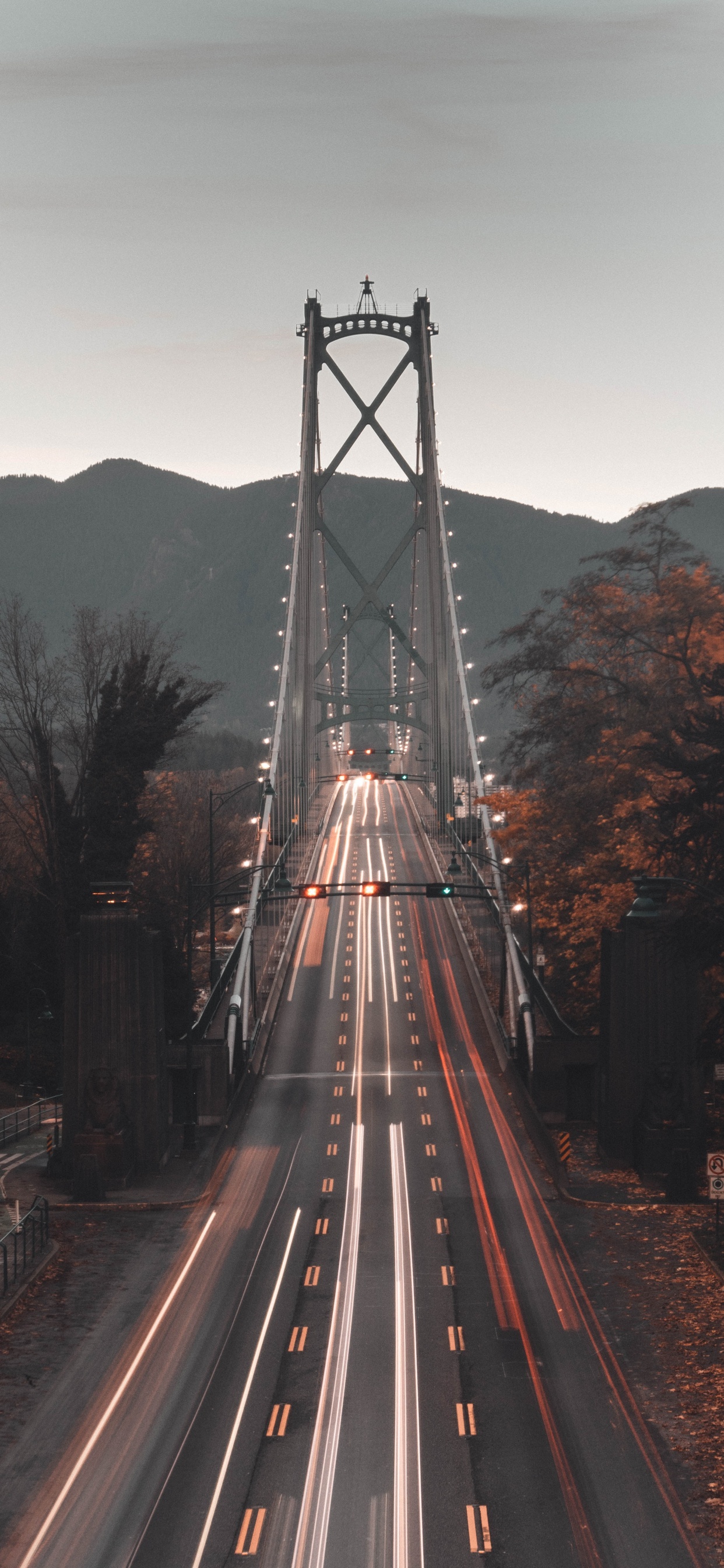 Обои мост Львиные ворота, мост, подвесной мост, ориентир, дорога в разрешении 1242x2688