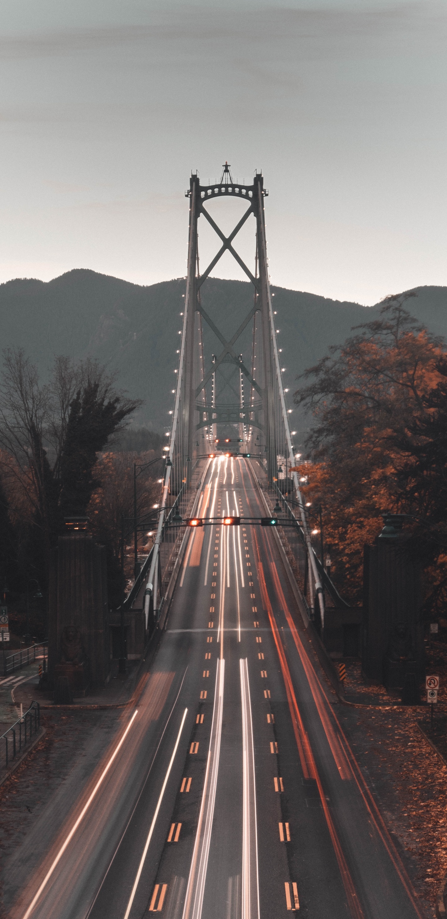 Обои мост Львиные ворота, мост, подвесной мост, ориентир, дорога в разрешении 1440x2960