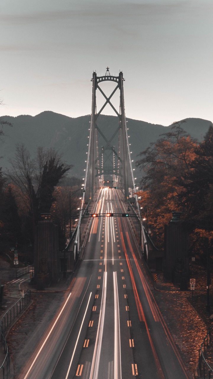 Обои мост Львиные ворота, мост, подвесной мост, ориентир, дорога в разрешении 720x1280