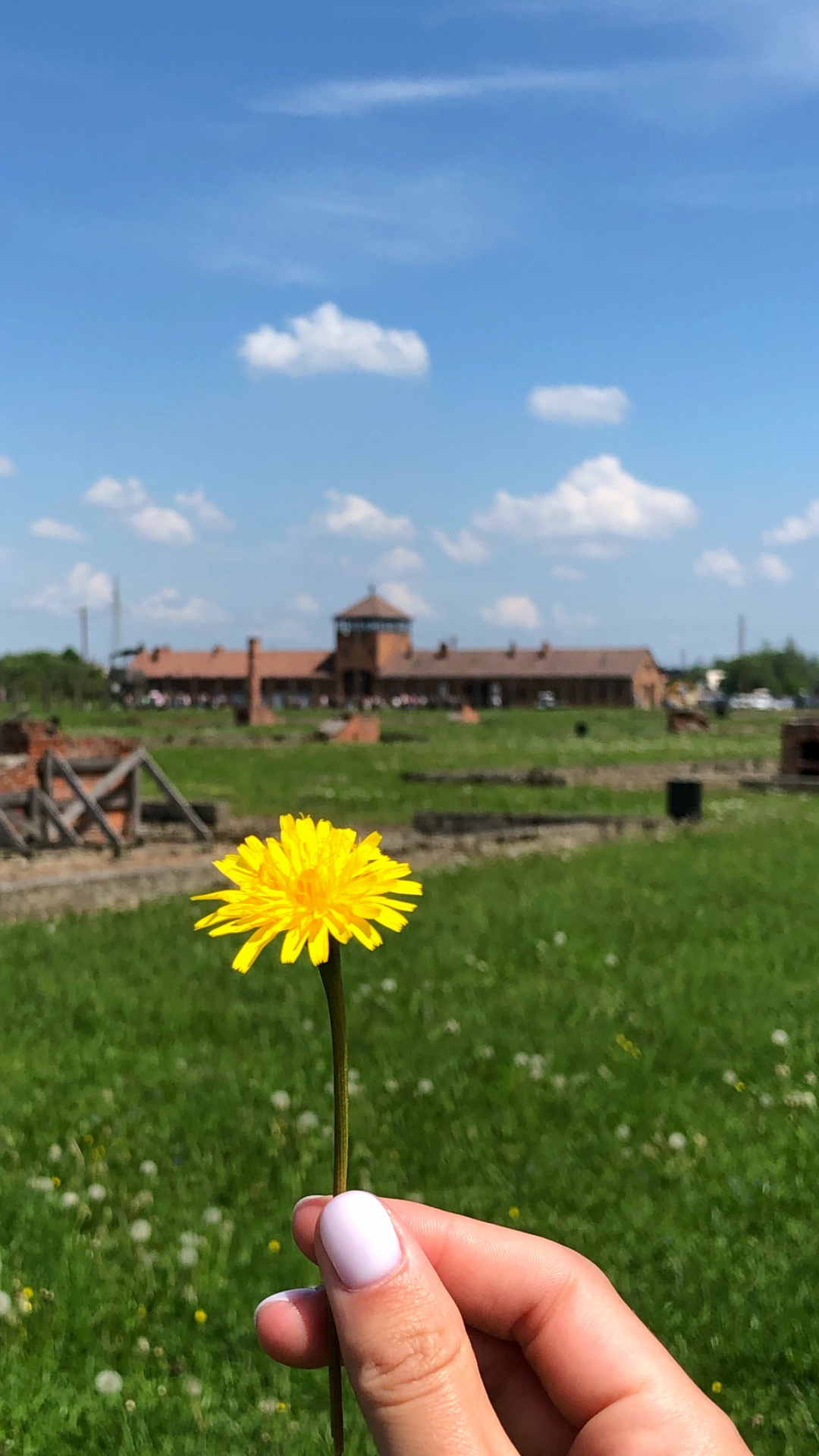 Обои пистолет для пенополиуретана 025ст, физика, дневное время, цветок, земельный участок в разрешении 1080x1920